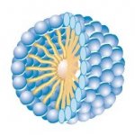 AzoMaterials