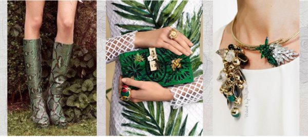 Robero Cavalli - Dolce&Gabbana - Christian Dior